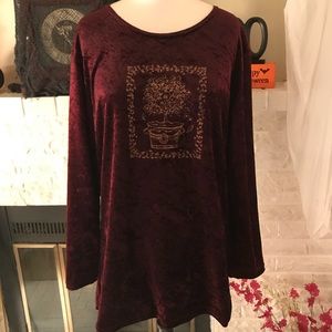 Ladies Velvety Top Like New